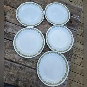 Corelle Livingware By Corning Spring Blossom 5 Dinner Plates